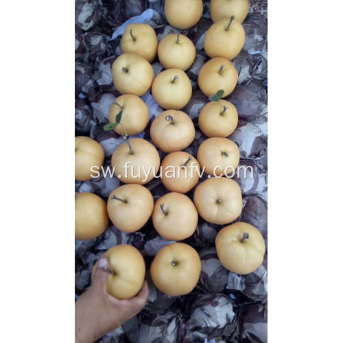 2018 Fresh Fengshui pear